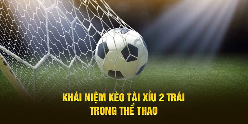 Tài xỉu 2 trái xuất hiện rất nhiều ở nhà cái